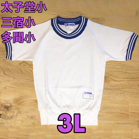 5c5169c33b63654bd6e4e929