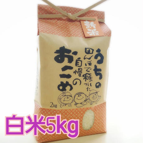 59d1a83ab1b6194b90001955