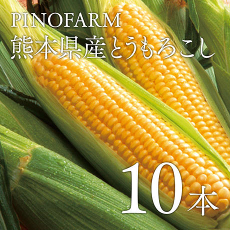 5b7d366ea6e6ee75ab0017d7