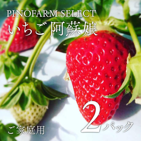 5c1488b87cd3617833eb6202