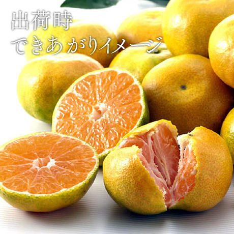 5b7d19eb5f786658a8000947