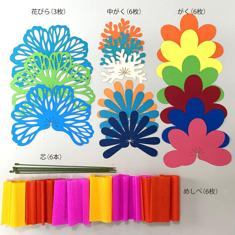 5ea3aa635157620e90a8317d