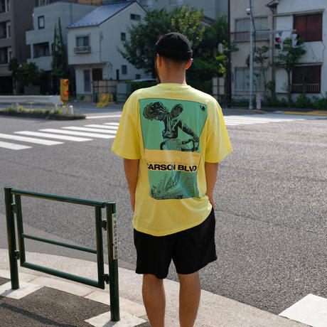 5b5aff0aef843f612100153b