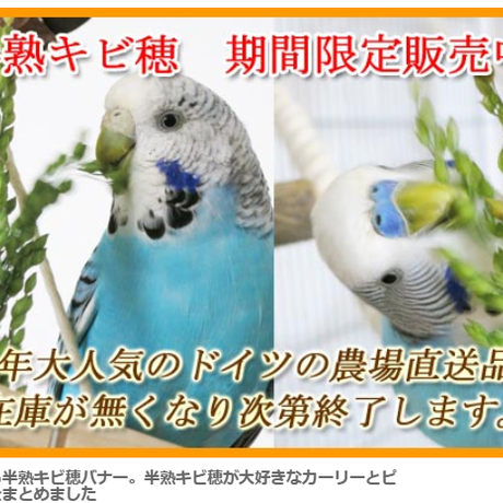 5d9700b35b61b407f4b85ba0