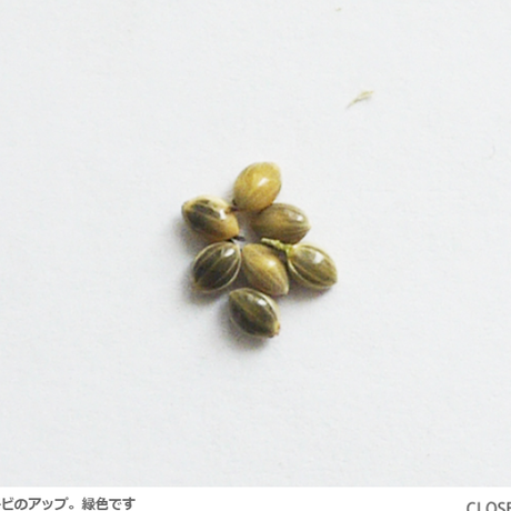 5dd0eb7b63794452d50126c6