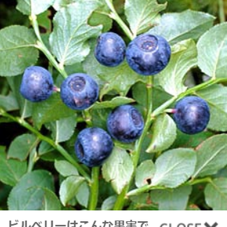 5d663b7565d3261ba939a7c3