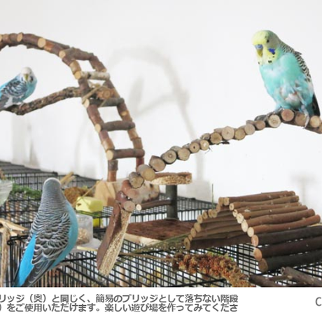 5dcd048ca3423d0f8fe6d34b