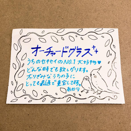 5e16f8b76899fd703d2135ff