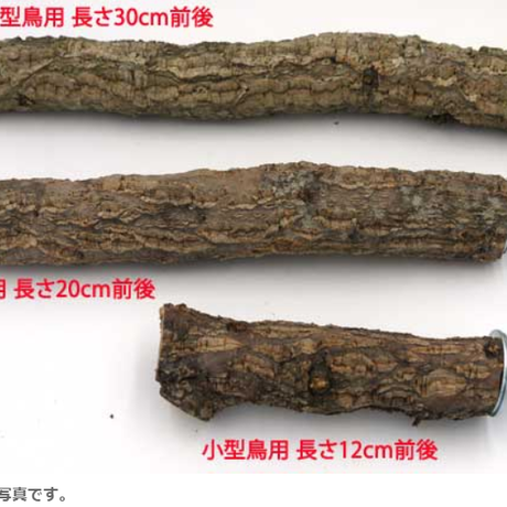 5d7ca31c00631f16fc645308
