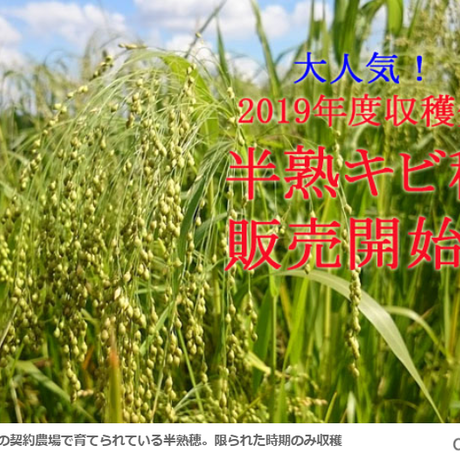 5d97027d220e75746caaae36
