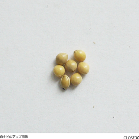 5e05aa87d790db7d51b64053