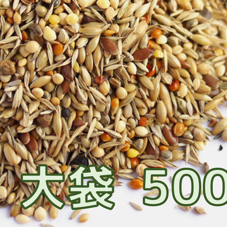 5dce6fefb2f6fd48005573ec