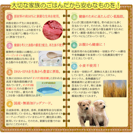 5d92a951220e755e8cc9c032