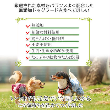 5d92a951220e755e8cc9c032