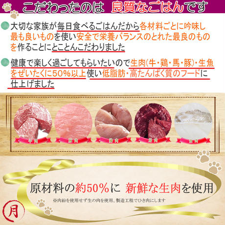 5d92a951220e755e8cc9c032