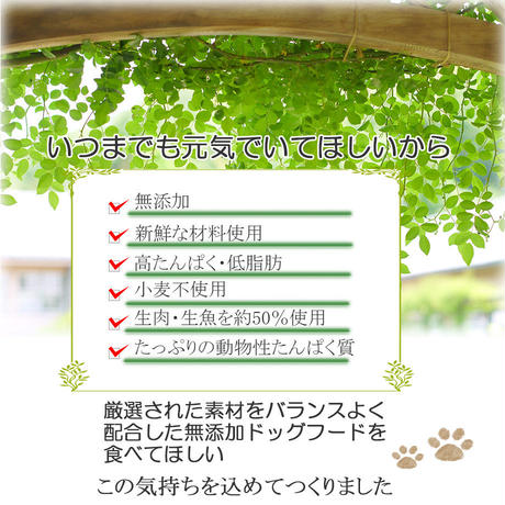 5d0043d25aa9381ac5325c62