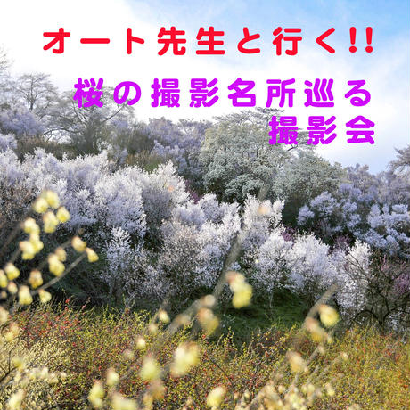 5e37a42994cf7b0500e7e59d