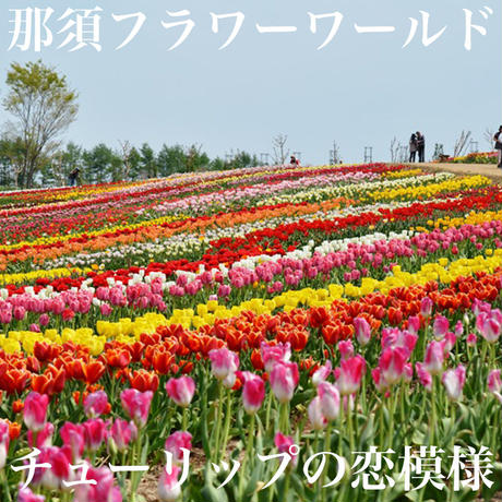 5c9711e0a71db72edd8b38f8
