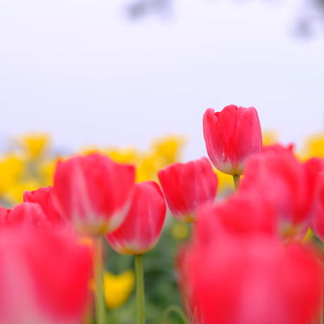 5c9711e0a71db72edd8b38f8