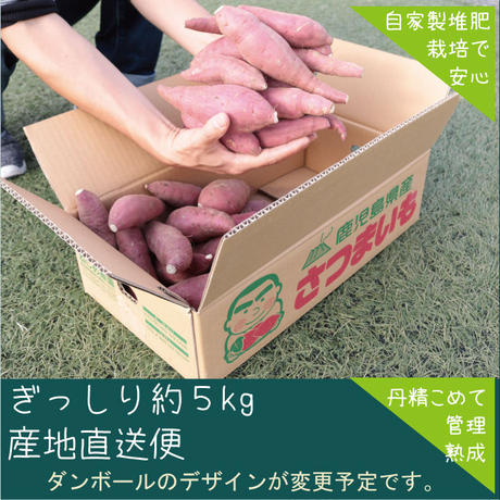 5c46b7ee2a2862425e081a14
