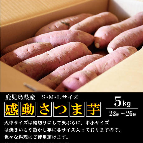 5c46ba66c3976c1679172485