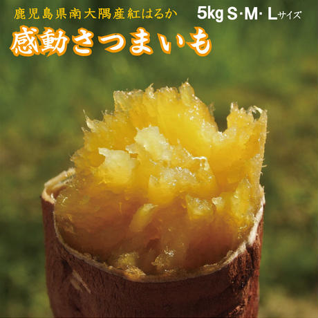 5c46ba66c3976c1679172485