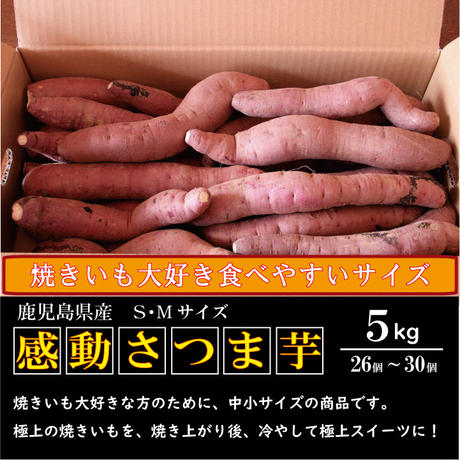 5c46b7ee2a2862425e081a14