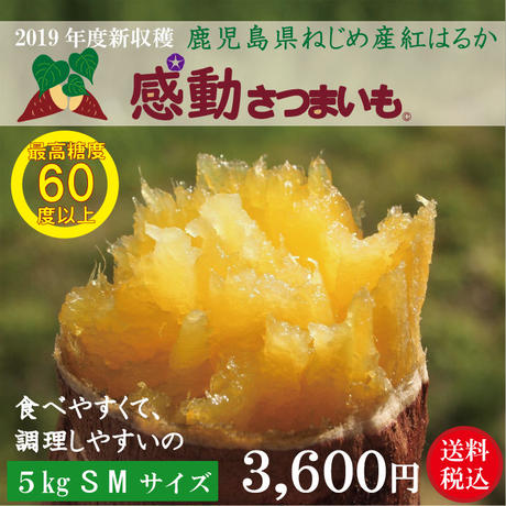 5c46b7ee2a2862425e081a14