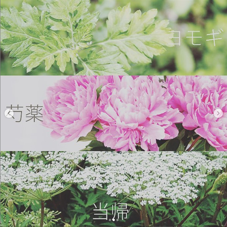 5c1b6380c3976c696b0f07e4