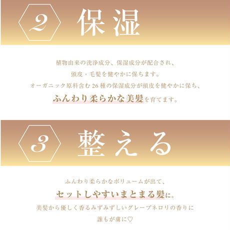 58511bc5a458c0c4d50076ed