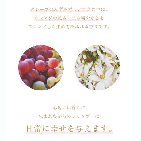 58511bc5a458c0c4d50076ed