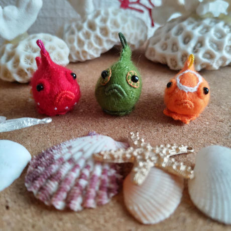 ダンゴウオ Stores