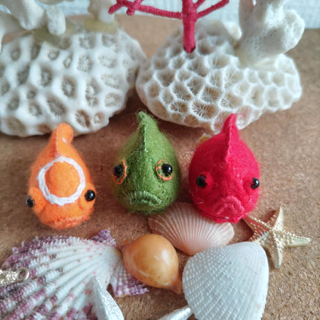 ダンゴウオ Stores