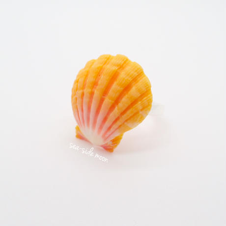 5717a12200d3311f0e001d9a