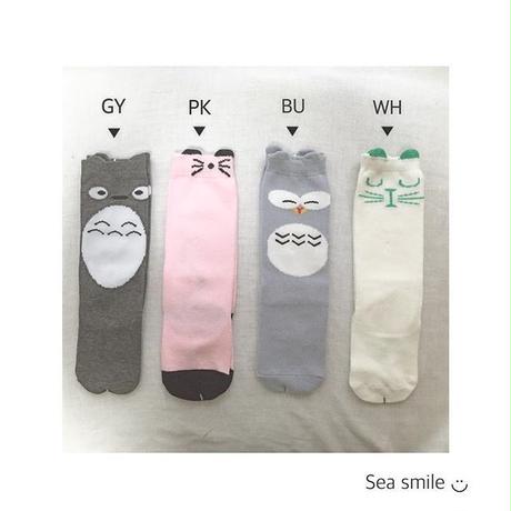 5890280c9821cccf620012c7