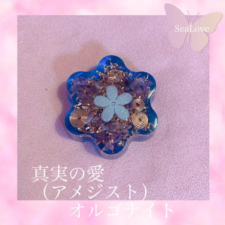5eddc6f955fa033fe8205150
