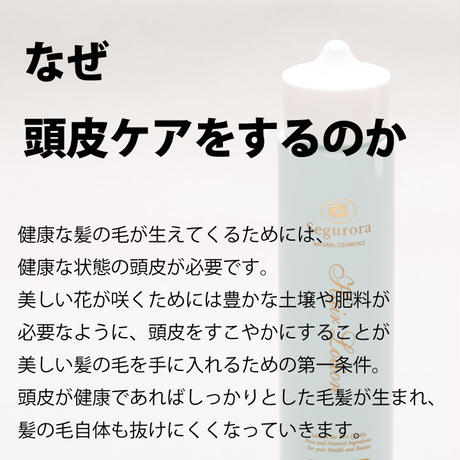 5eb4d18855fa03542f3717a5