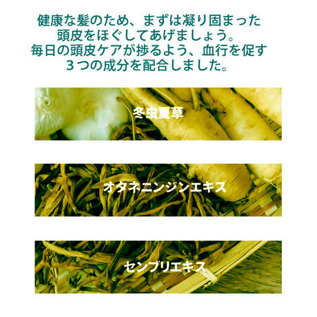 5eb4d18855fa03542f3717a5