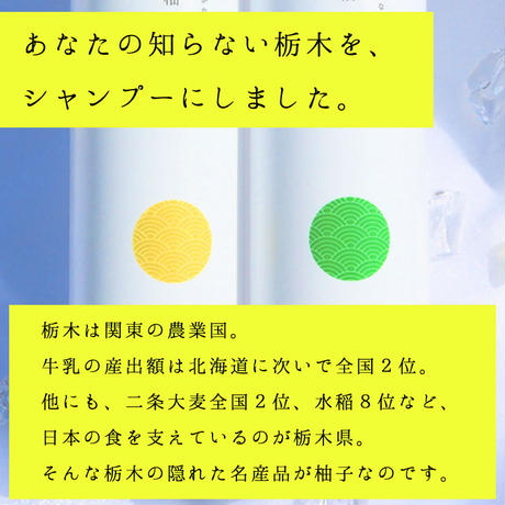 5dd7924ca551d54fe099c373