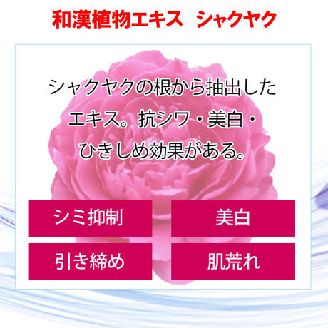 5d57507b3a7e964cf1960e62