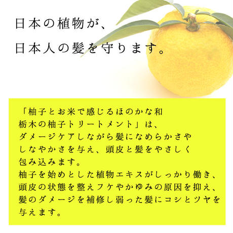 5dd7a64951940c59437f3066