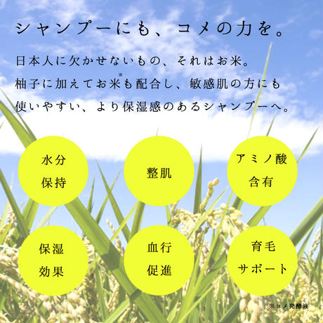 5dd7924ca551d54fe099c373