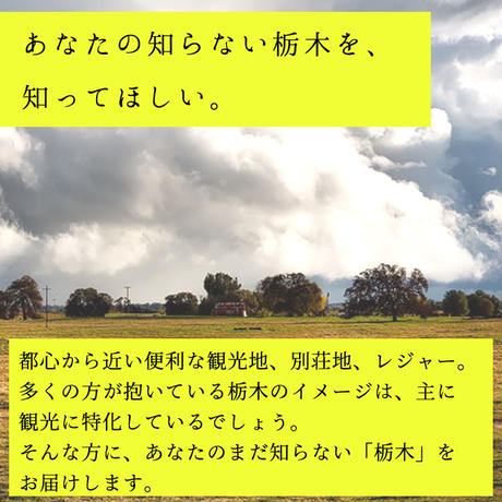 5dd7924ca551d54fe099c373