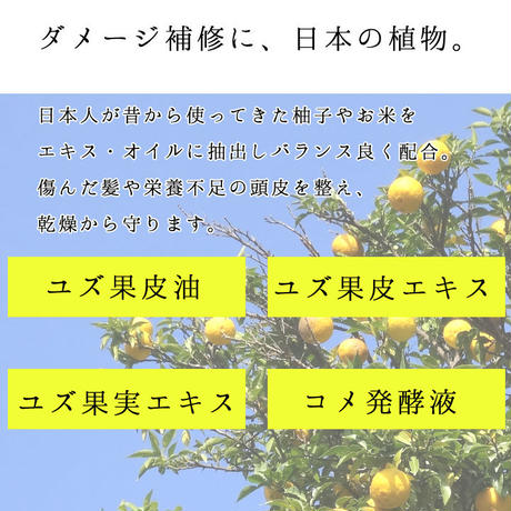 5dd7a64951940c59437f3066