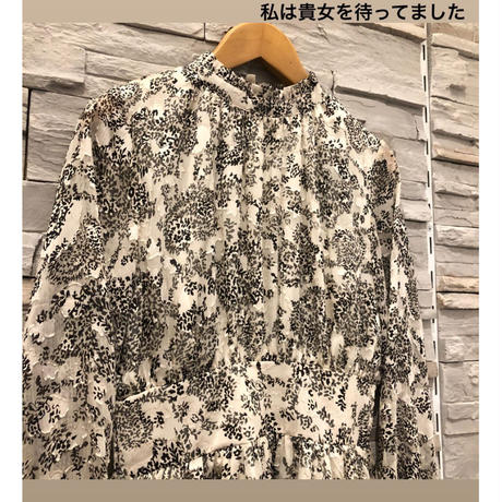 5e7317e39df1632dc30ab36a