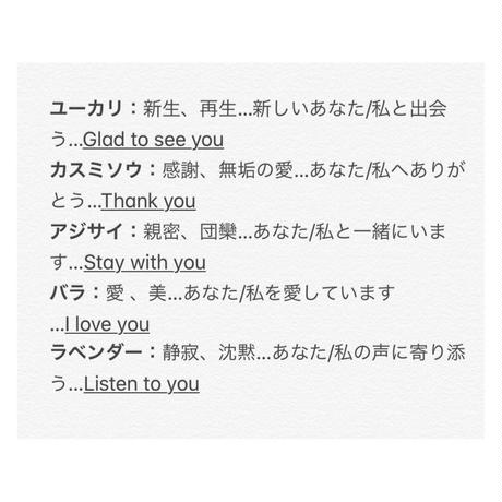 5c56a181e73a255e8b0c74b4