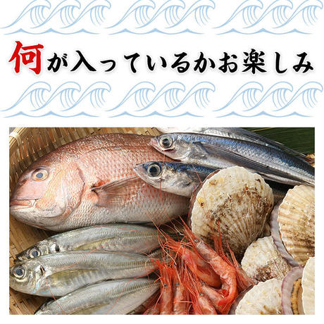 582ac300a458c01b66000074