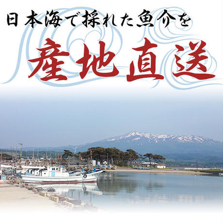 582ac300a458c01b66000074
