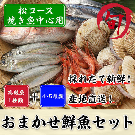 582ab0cf41f8e842430000ff