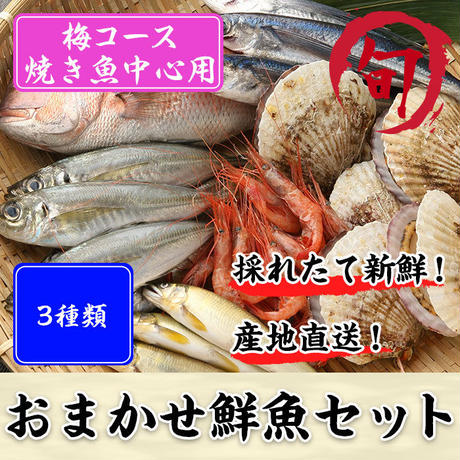 582aa08a9821cc903a000986